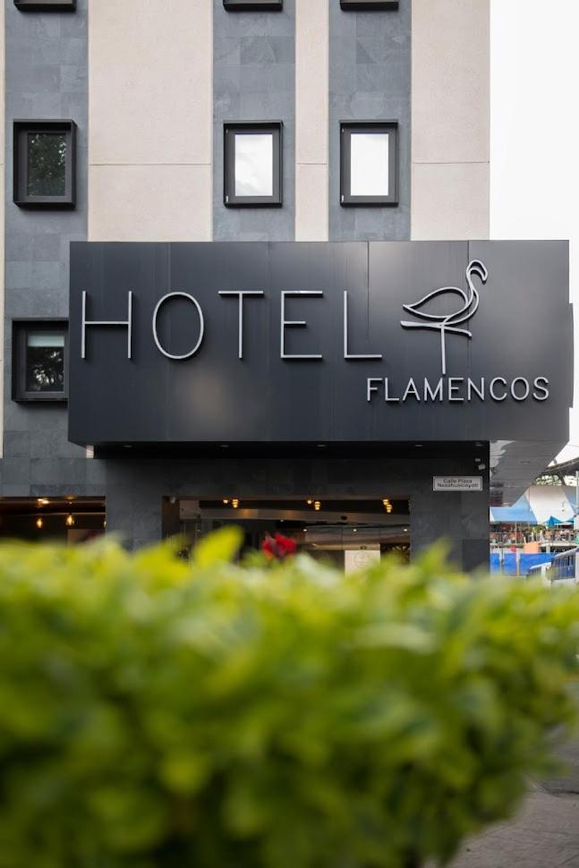 Hotel Flamencos