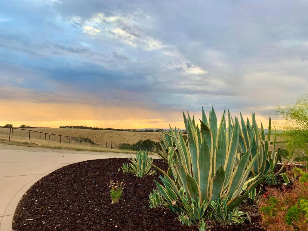 Lp1 Paso Robles Wine Estate Pool